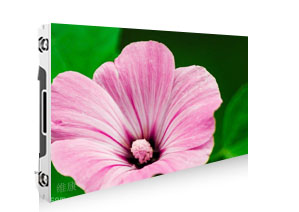 P1.891香蕉视频WWW