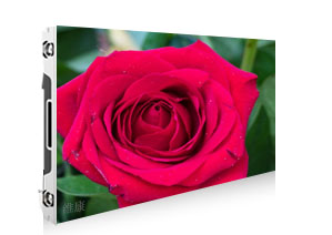 P2.091香蕉视频WWW