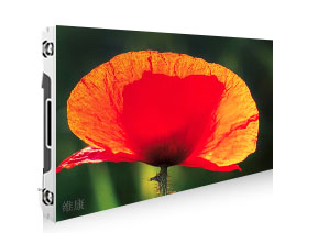 P1.2591香蕉视频WWW