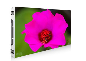 P0.991香蕉视频WWW